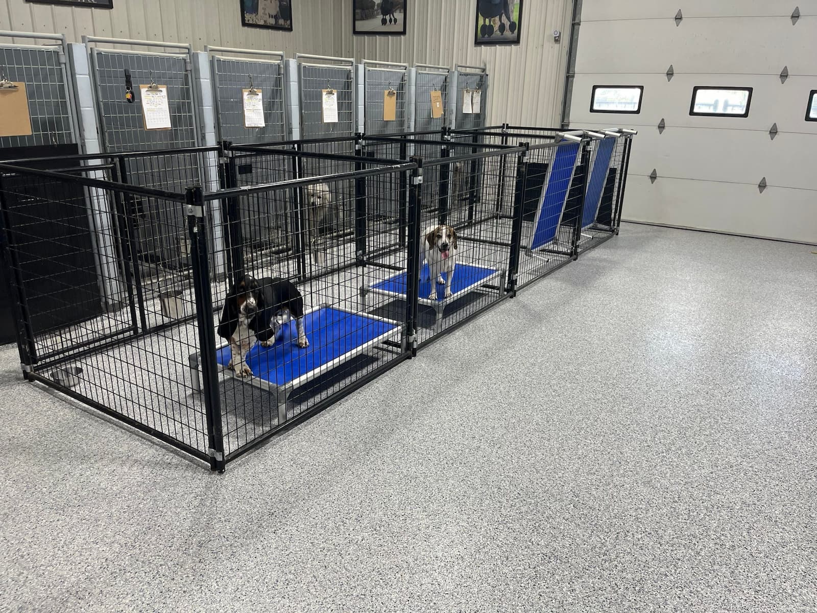 concrete coating applied to dog kennel